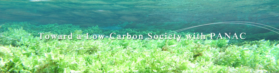 Toward a Low-Carbon Society with PANAC