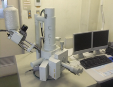 Scanning Electron Microscope